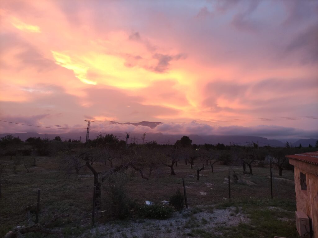 Vistas els ports de Beseit, campo de almendros
