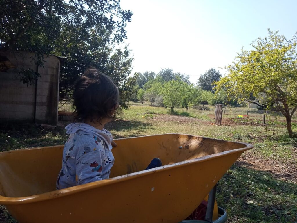 Niño carretilla campo abierto